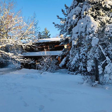 Kibuvitsa Holiday House Muratsi Exterior foto